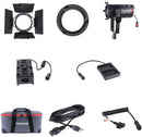 Aputure LS 60x zweifarbig einstellbares LED Videolicht--Vorbestellung