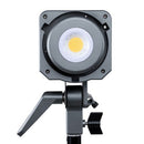 Aputure Amaran 100D LED Videolicht - Auf Lager